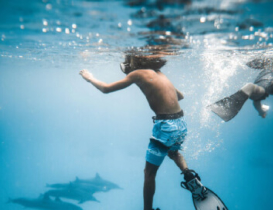 How to Use a 1xBet Promo Code Details